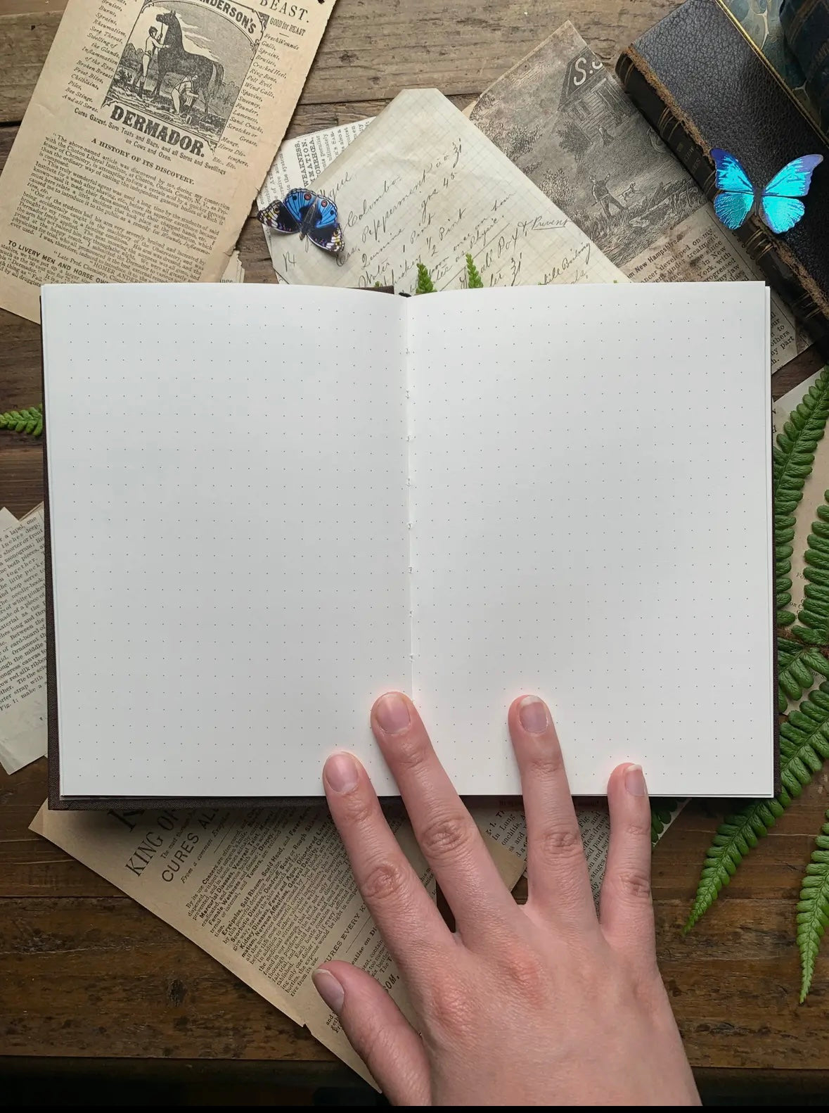 The Wanderer. Cuaderno dorado.
