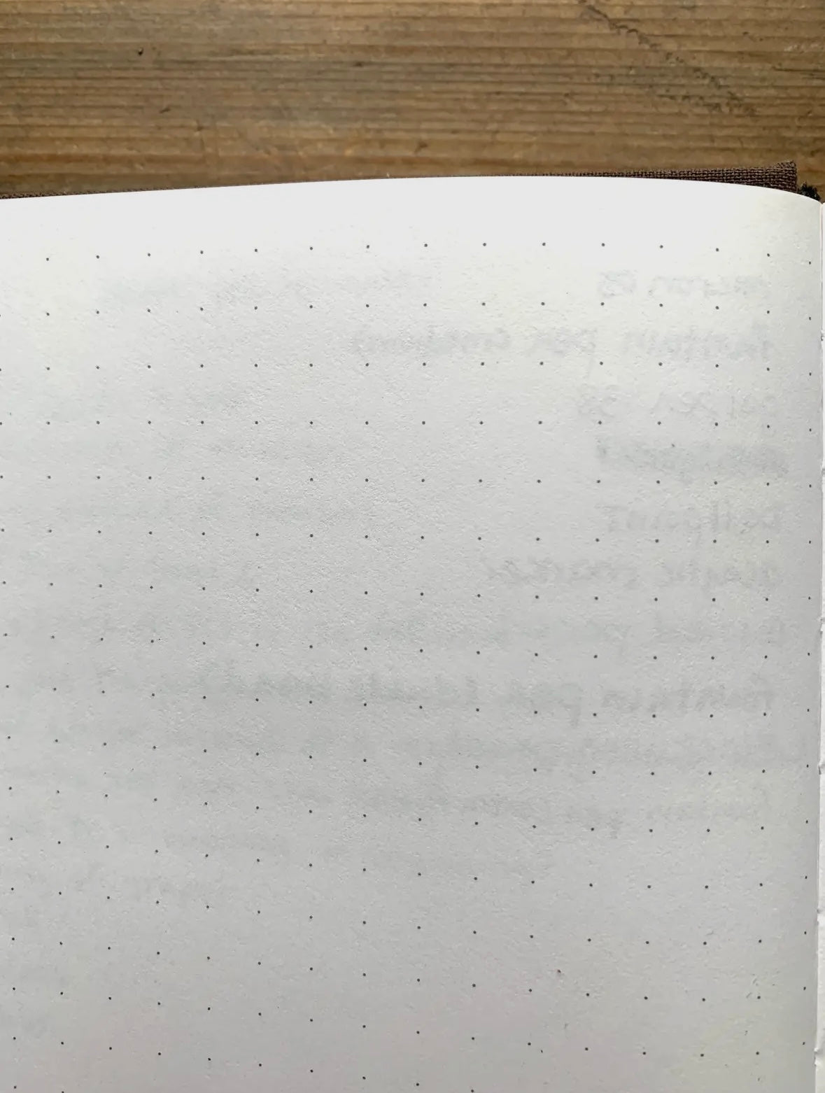 The Wanderer. Cuaderno dorado.