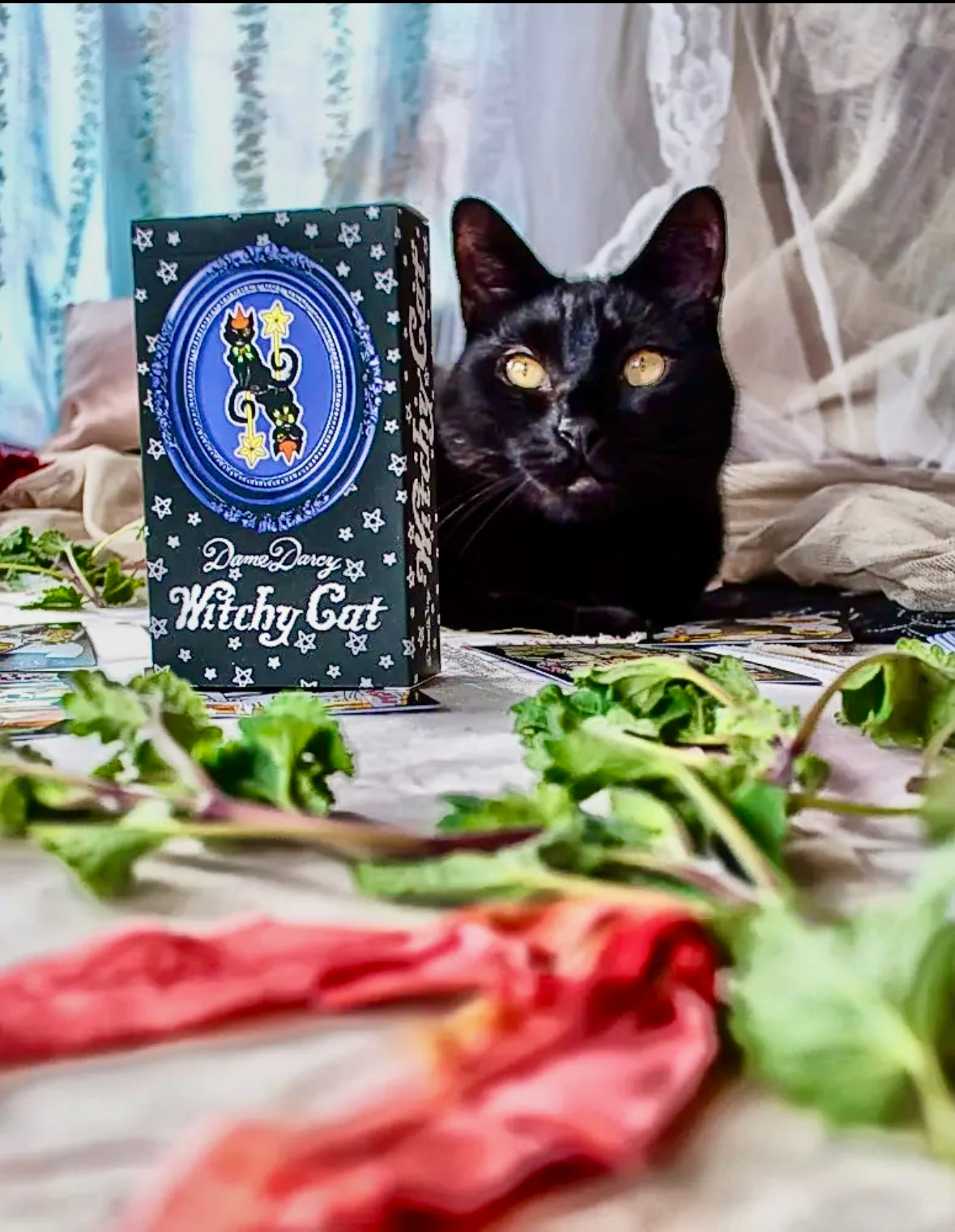 Witchy Cat Tarot