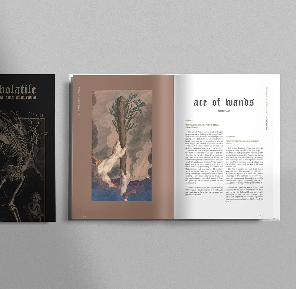TERRA VOLATILE BOOK