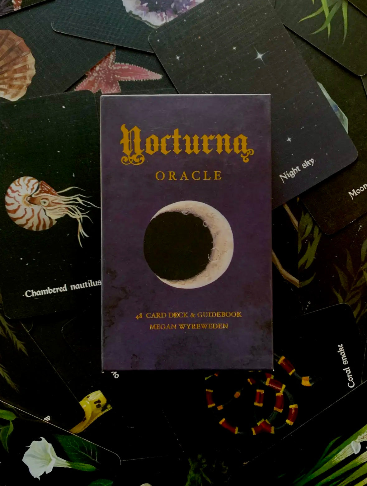 Nocturna Oracle