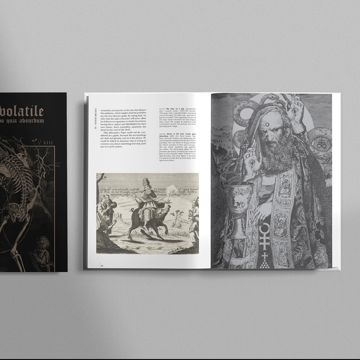 TERRA VOLATILE BOOK