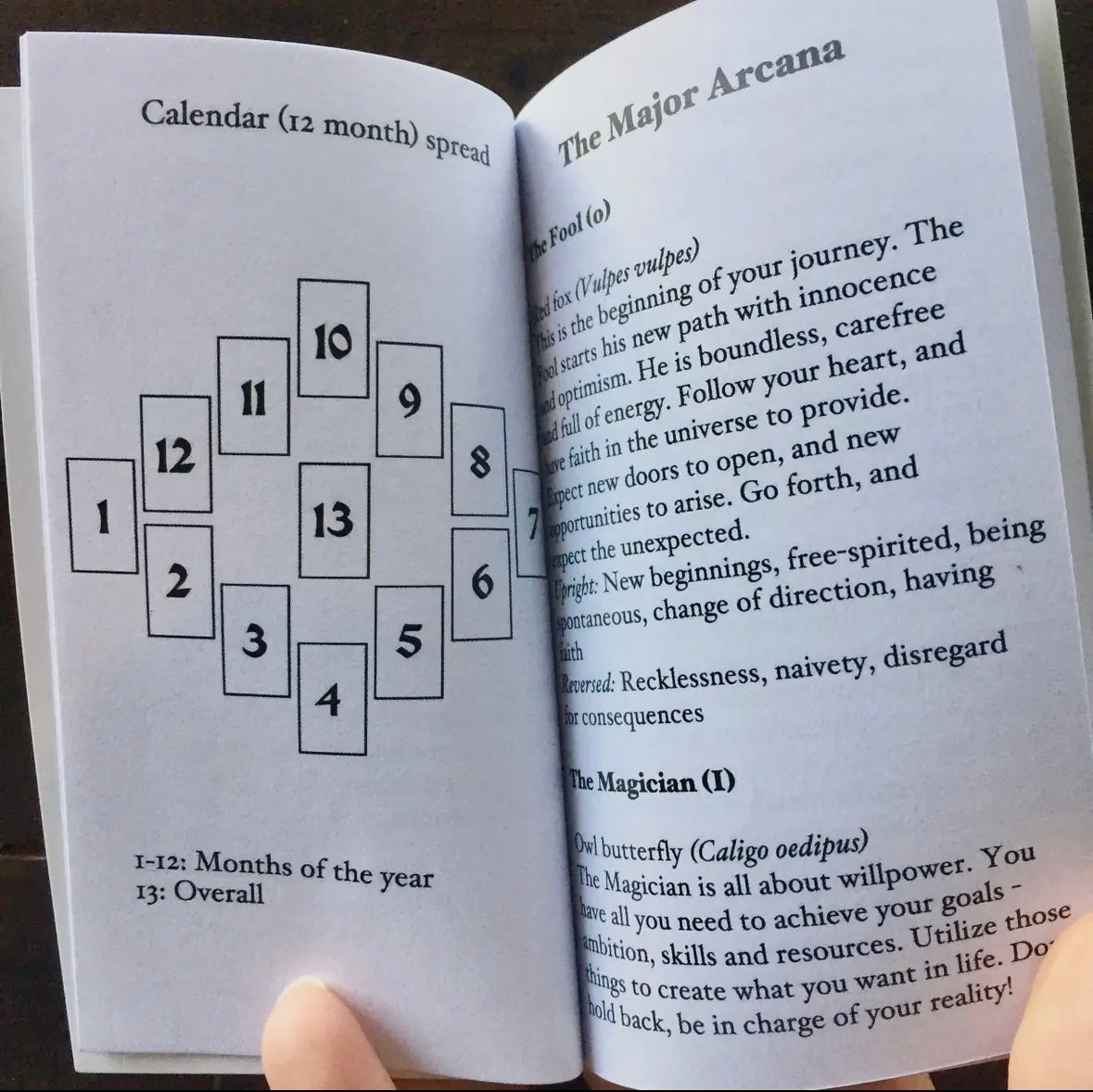 Anima Mundi Tarot