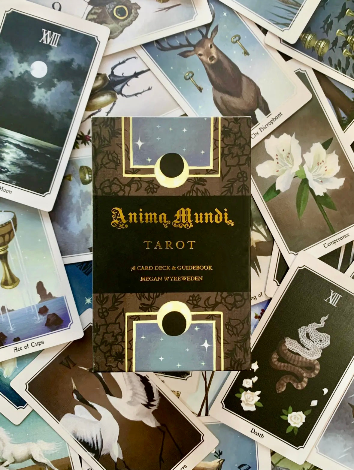 Anima Mundi Tarot