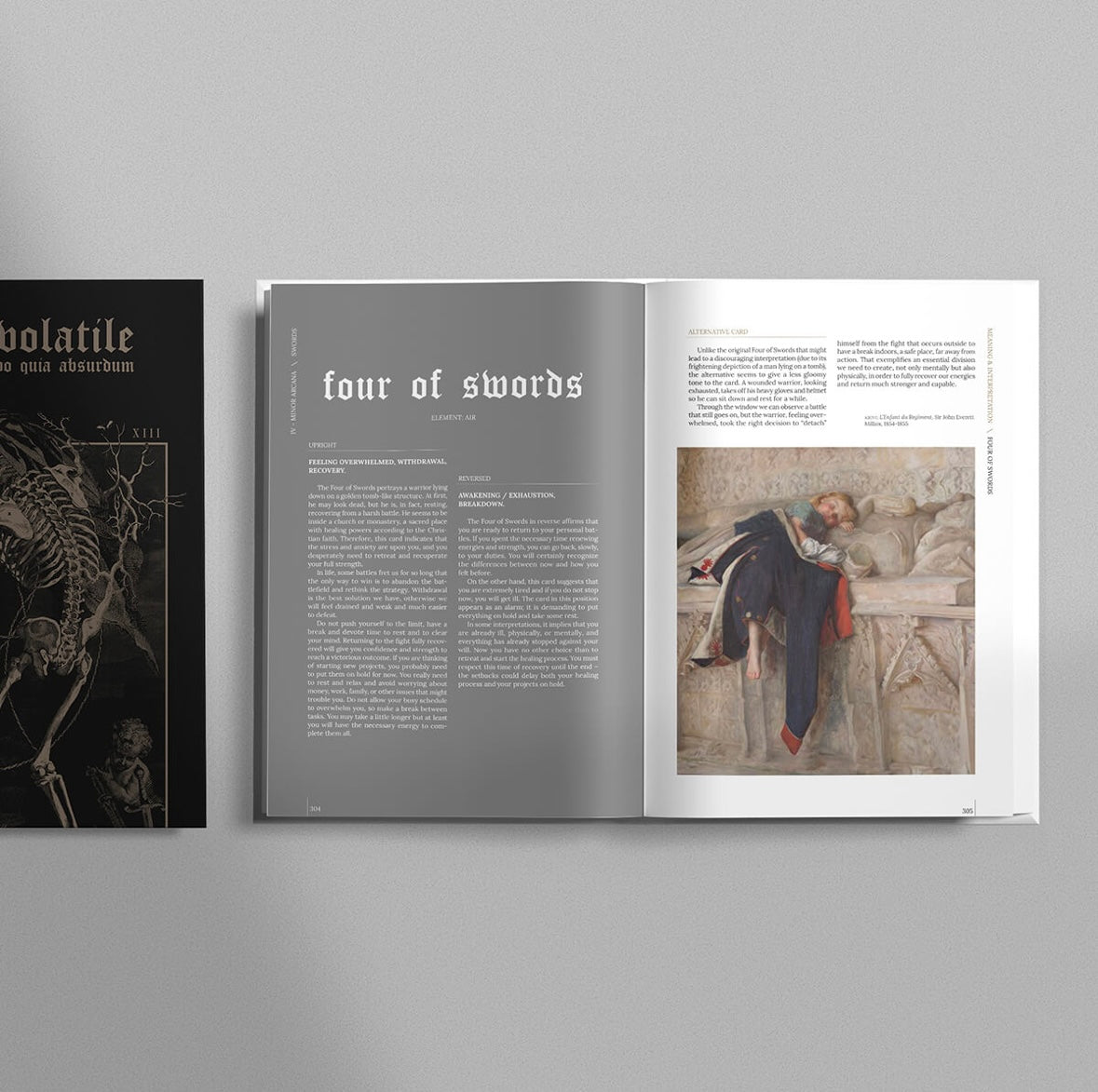 TERRA VOLATILE BOOK