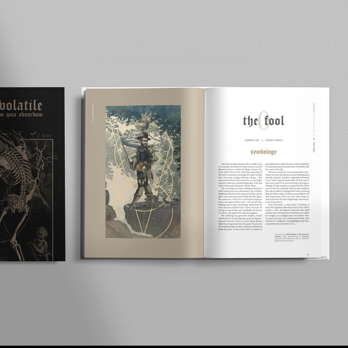 TERRA VOLATILE BOOK