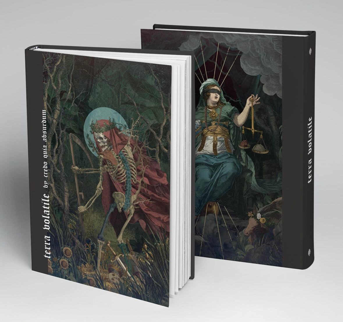 TERRA VOLATILE BOOK